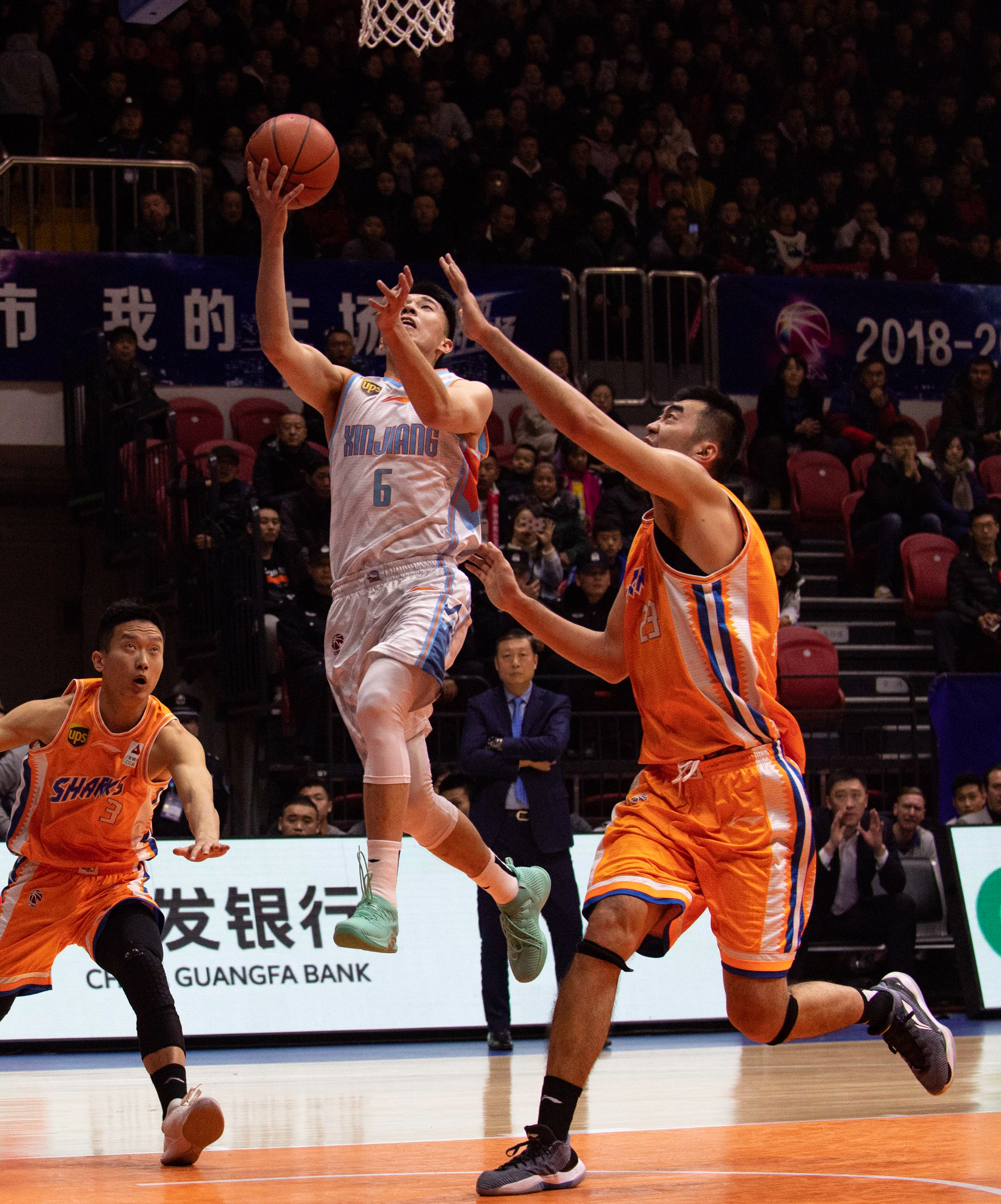 她们的特点 她们的特点