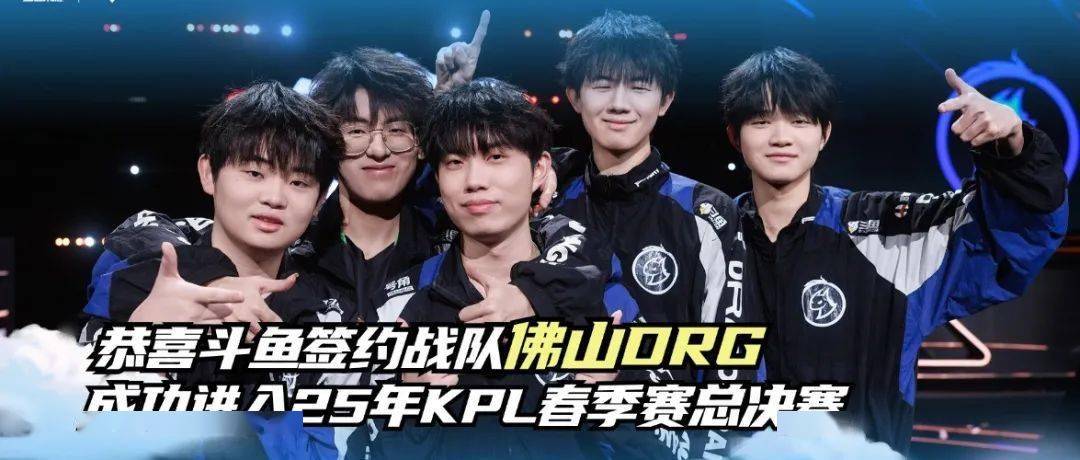 高强度的网 高强度的网